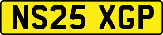 NS25XGP