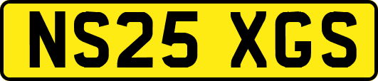 NS25XGS