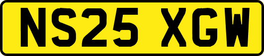 NS25XGW