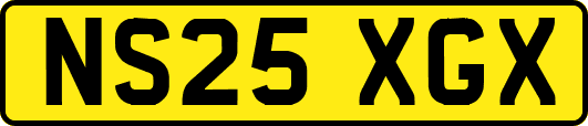 NS25XGX