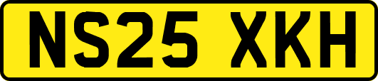 NS25XKH