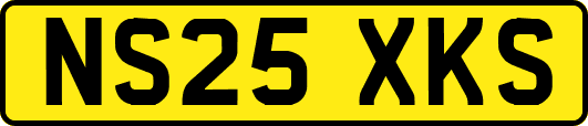 NS25XKS