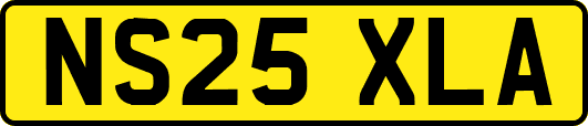 NS25XLA
