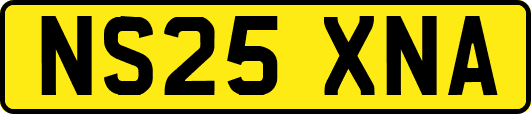 NS25XNA