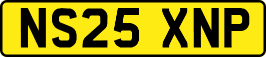 NS25XNP