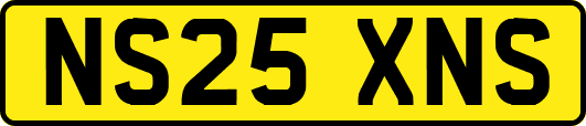 NS25XNS