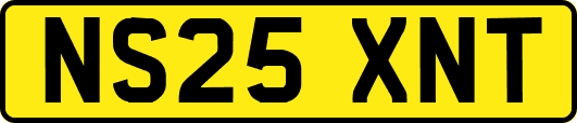 NS25XNT