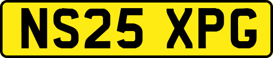 NS25XPG