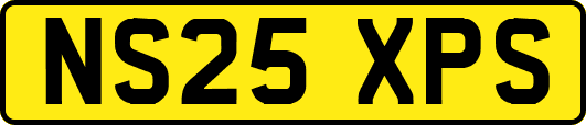 NS25XPS