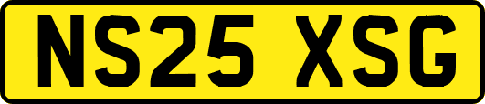 NS25XSG
