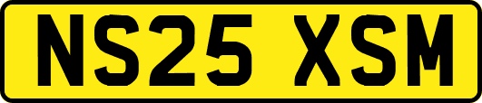 NS25XSM