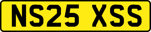 NS25XSS