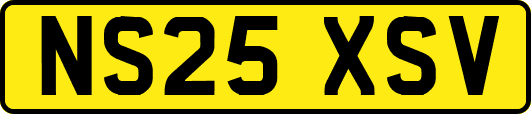 NS25XSV