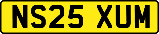 NS25XUM