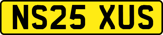NS25XUS