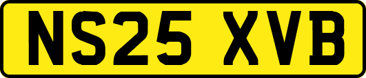 NS25XVB