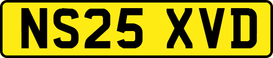NS25XVD