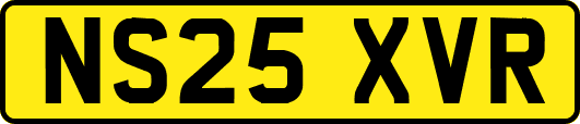 NS25XVR