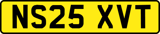 NS25XVT