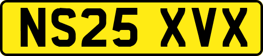 NS25XVX