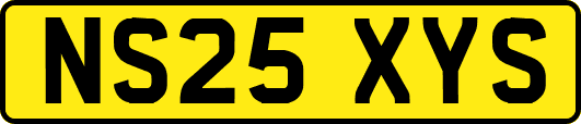 NS25XYS
