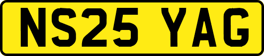 NS25YAG