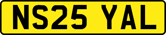 NS25YAL
