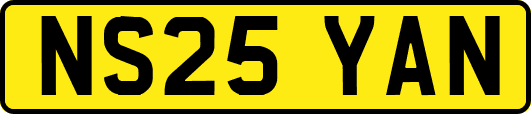 NS25YAN
