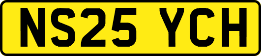 NS25YCH