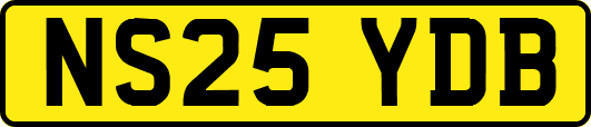 NS25YDB