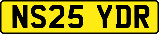 NS25YDR