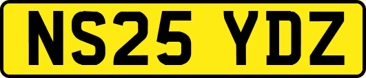 NS25YDZ