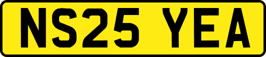 NS25YEA