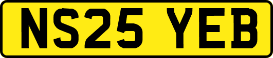 NS25YEB