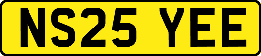 NS25YEE