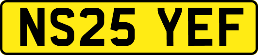 NS25YEF