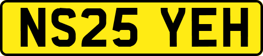 NS25YEH