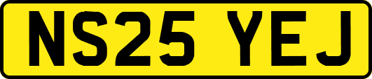 NS25YEJ
