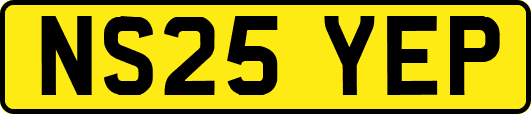 NS25YEP