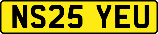NS25YEU
