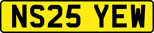 NS25YEW
