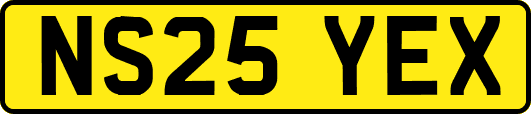 NS25YEX