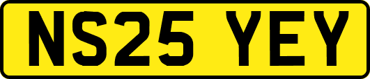 NS25YEY