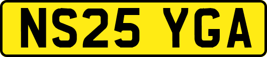 NS25YGA