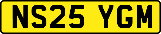NS25YGM