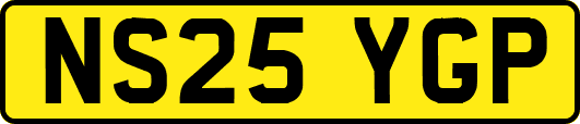 NS25YGP