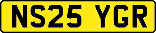 NS25YGR