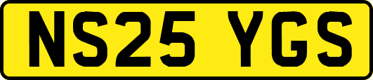 NS25YGS