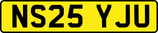 NS25YJU
