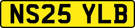 NS25YLB